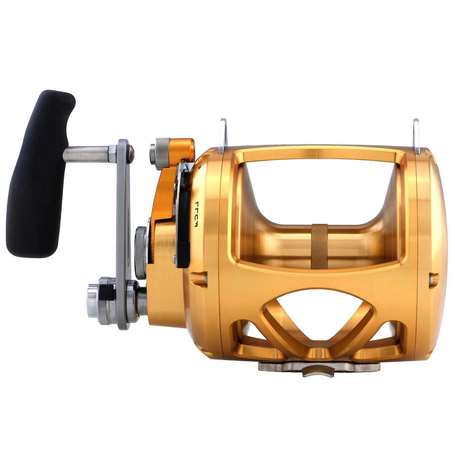 PENN International® 80VISW 2-Speed Conventional Reel, Gold | West