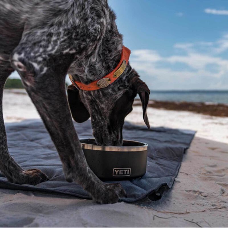 Pet Supplies : YETI Boomer 4, Stainless Steel, Non-Slip Dog Bowl, Holds 32  Ounces, Seafoam 