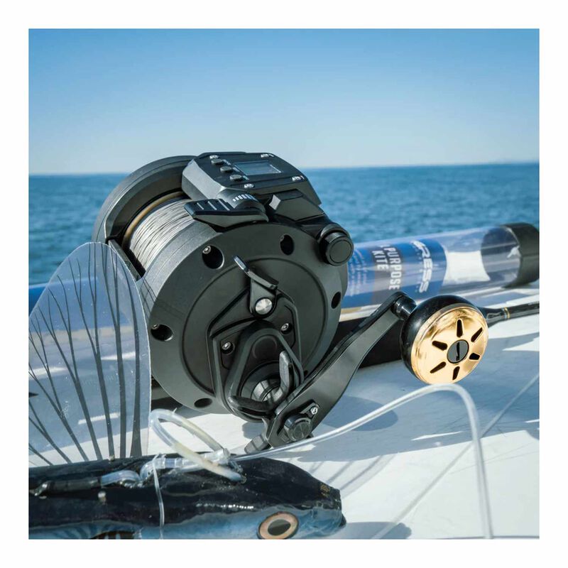 These Daiwa Tanacom 750 Electric Reels are something else. There's