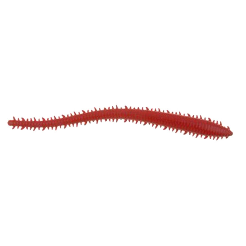 Sand worms fishing bait - The best deal on the web.