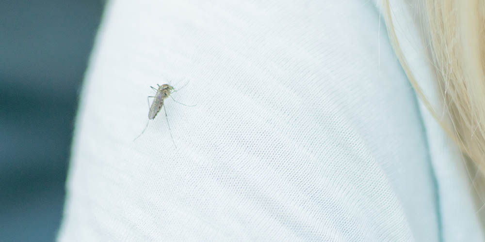 Does Insect Repellent Clothing Really Work?