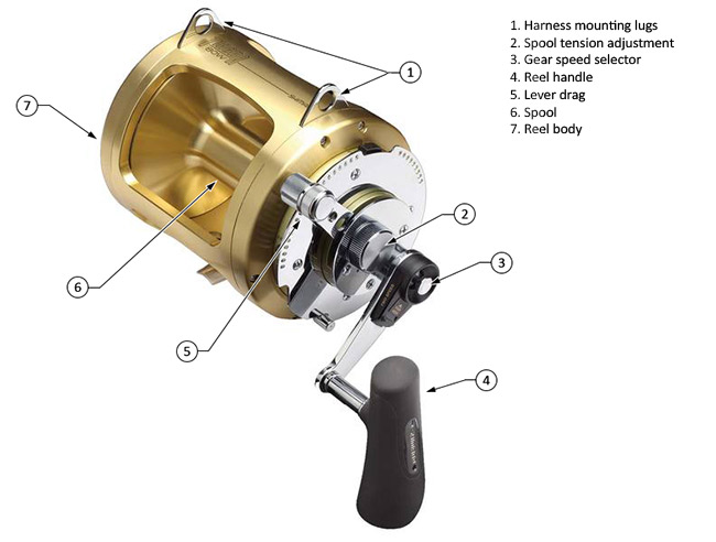 Part of a Spinning Reel