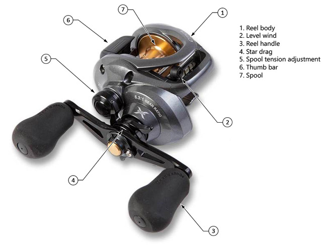 Early Non-Levelwind Bait Casting Reels To Levelwind Bait Casters