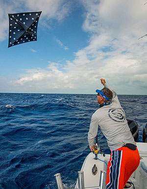 Lewis Fishing Kites