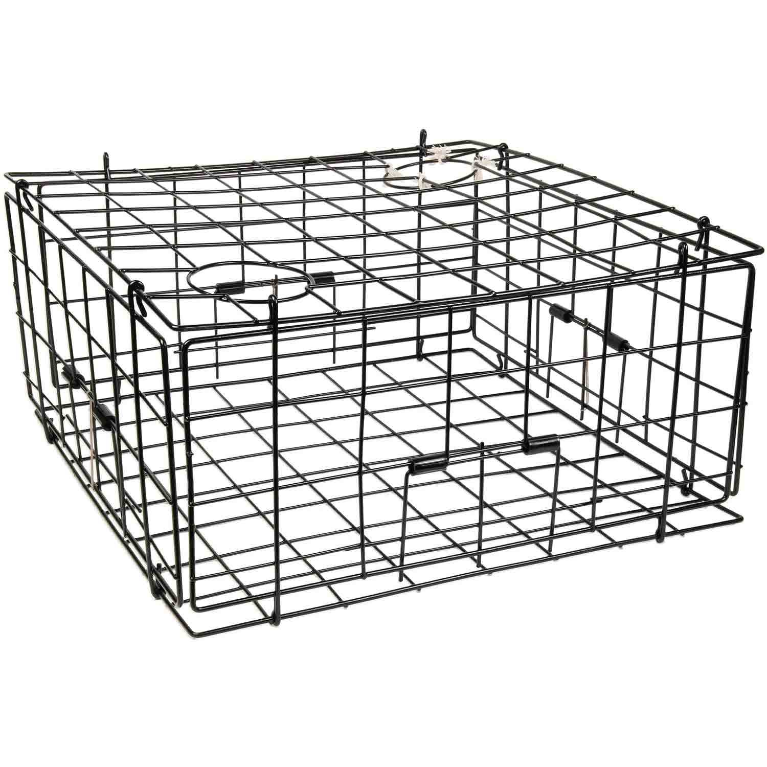 WILLAPA MARINE Deluxe Folding Crab Trap | West Marine