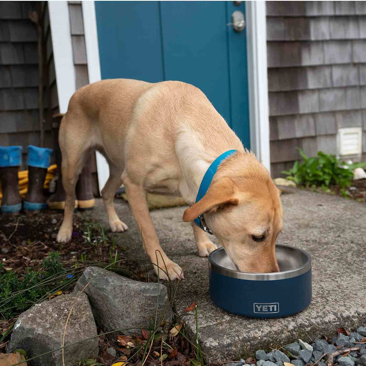 YETI Boomer Dog Bowl Review: Is This YETI Dog Bowl Worth It?