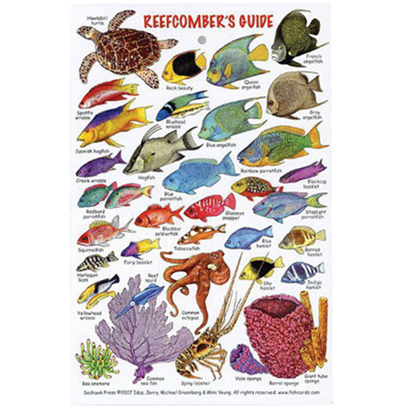 MARINE SPORTS Reefcomber's Guide Identification Card | West Marine