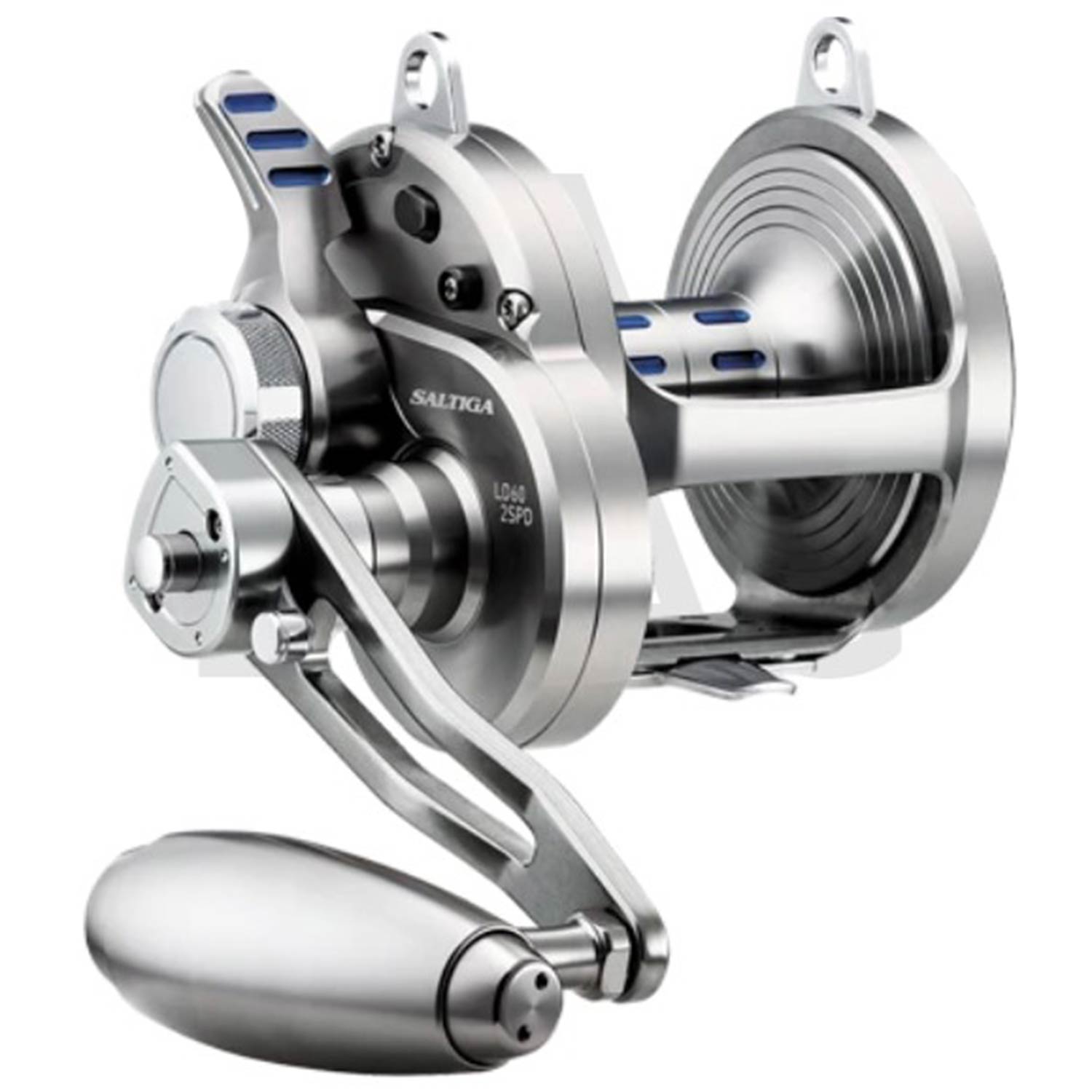 DAIWA Saltiga 2-Speed Lever Drag SAGLD60 Conventional Reel | West Marine