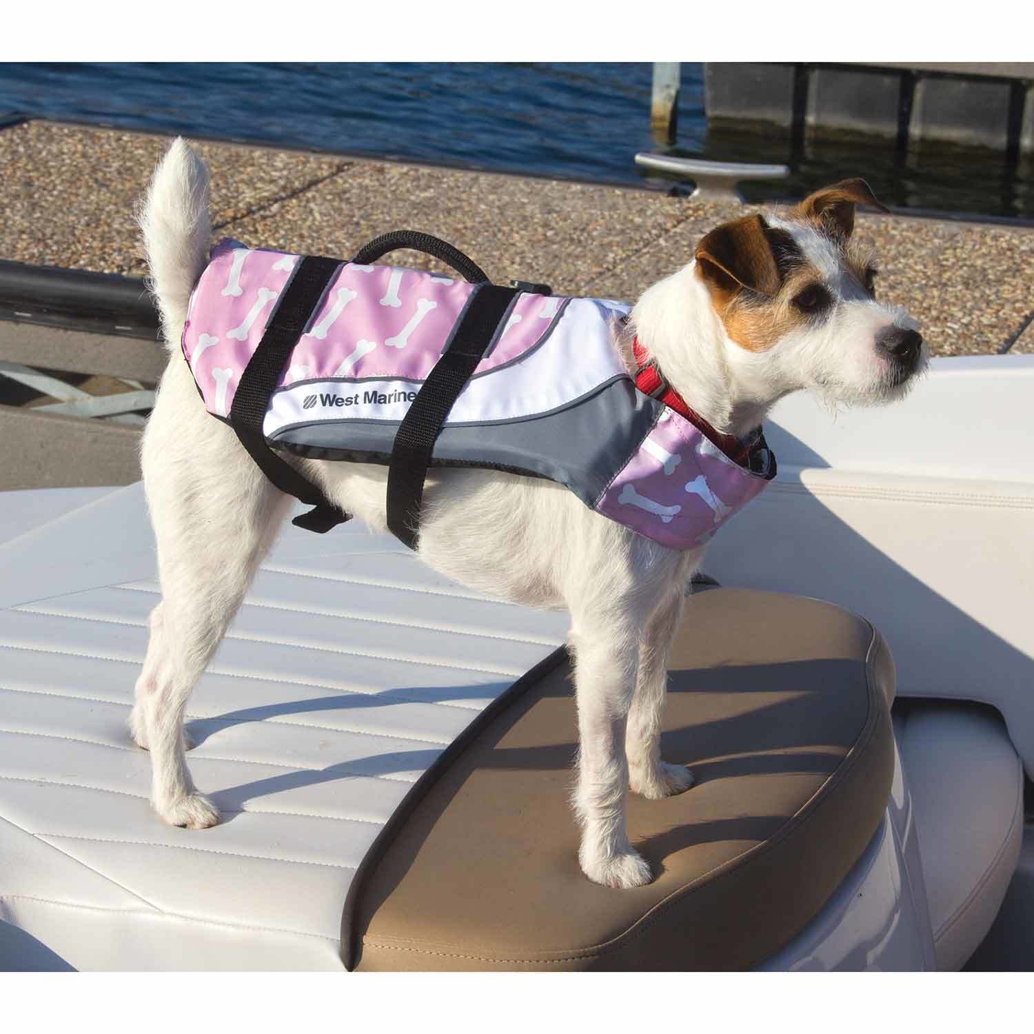 West marine dog life sales jacket