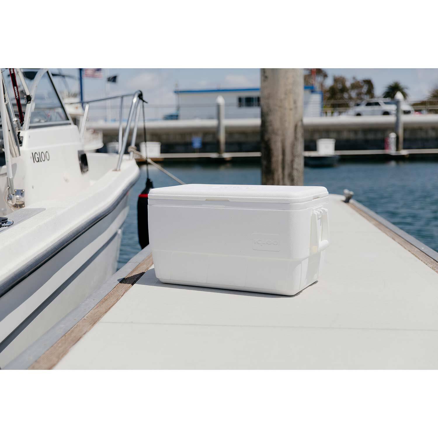 Igloo marine best sale cooler sizes