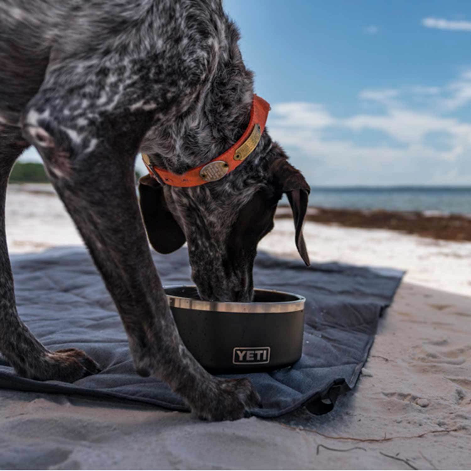 YETI Boomer™ 4 Stainless Steel Dog Bowl