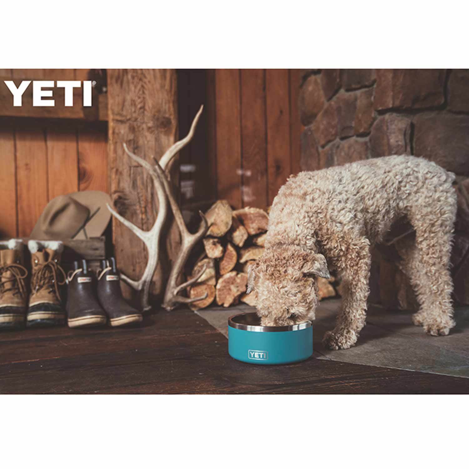 Albion College Dog Bowl - Yeti